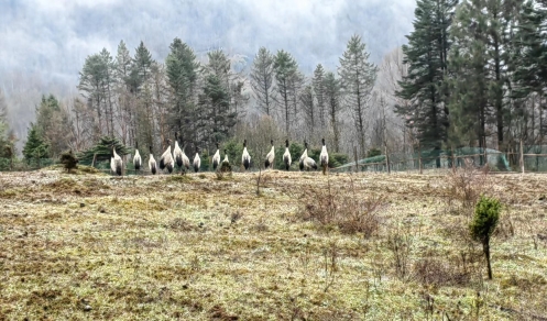 fb5cf69daf52380940524b10ccb97d2