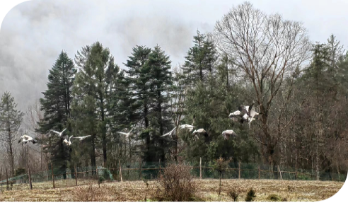 微信圖片_20230328143137