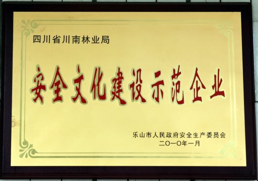 2010年安全文化建設(shè)示范企業(yè)
