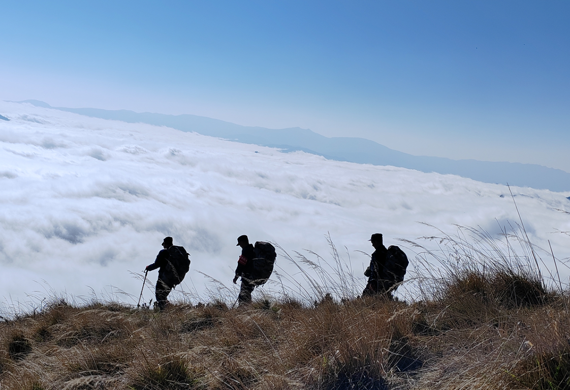 圖片2.png 圖片2.png